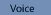 Voice
