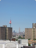 Roof Views - 6